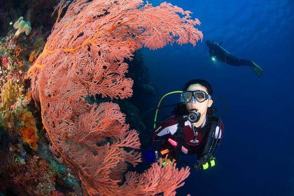 Wakatobi Private Dive Guide Experience
