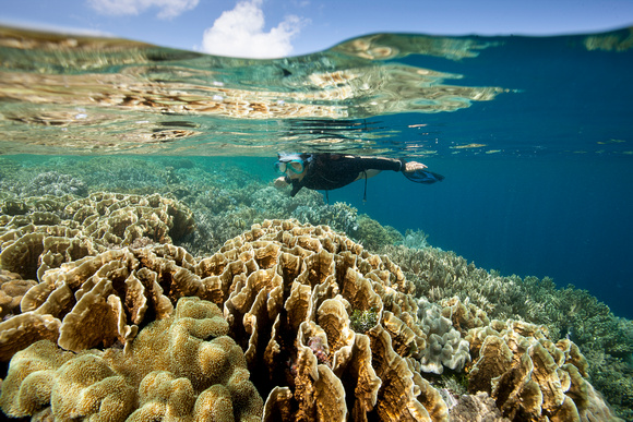 Snorkeling on Wakatobi's House Reef