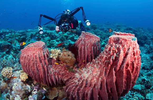 Diver-photographer-at-Roma-Wakatobi