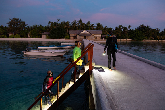 Step down from the jetty for a hosue reef snorkeling experience