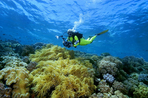 A photographer's haven at Wakatobi