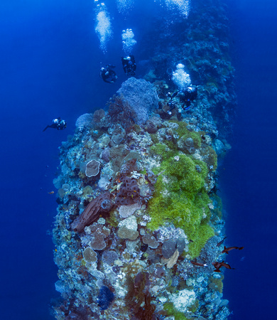 Divers-on-site-Blade-Wakatobi
