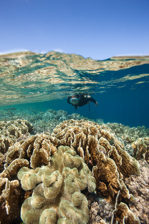 Snorkeling on Wakatobi's outer reefs