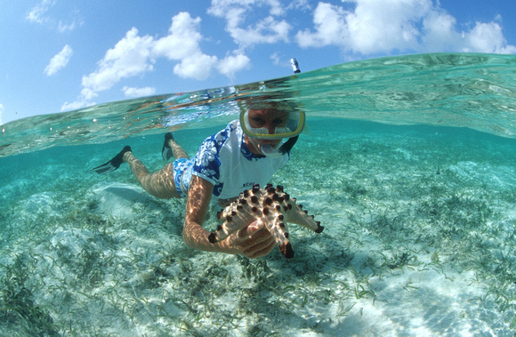 Snorkeler on Wakatobi's House Reef